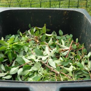 Nature’s Bin